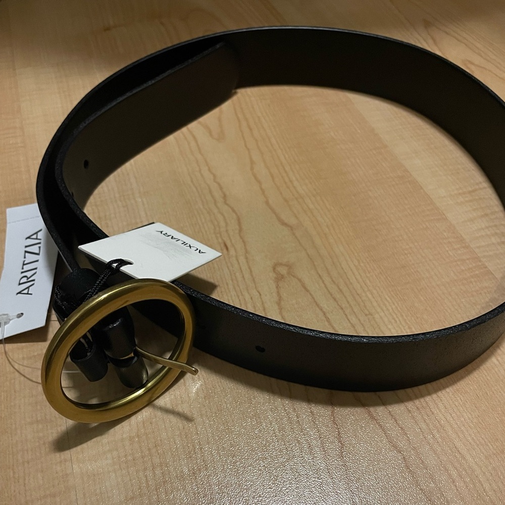 Aritzia Auxiliary Belt